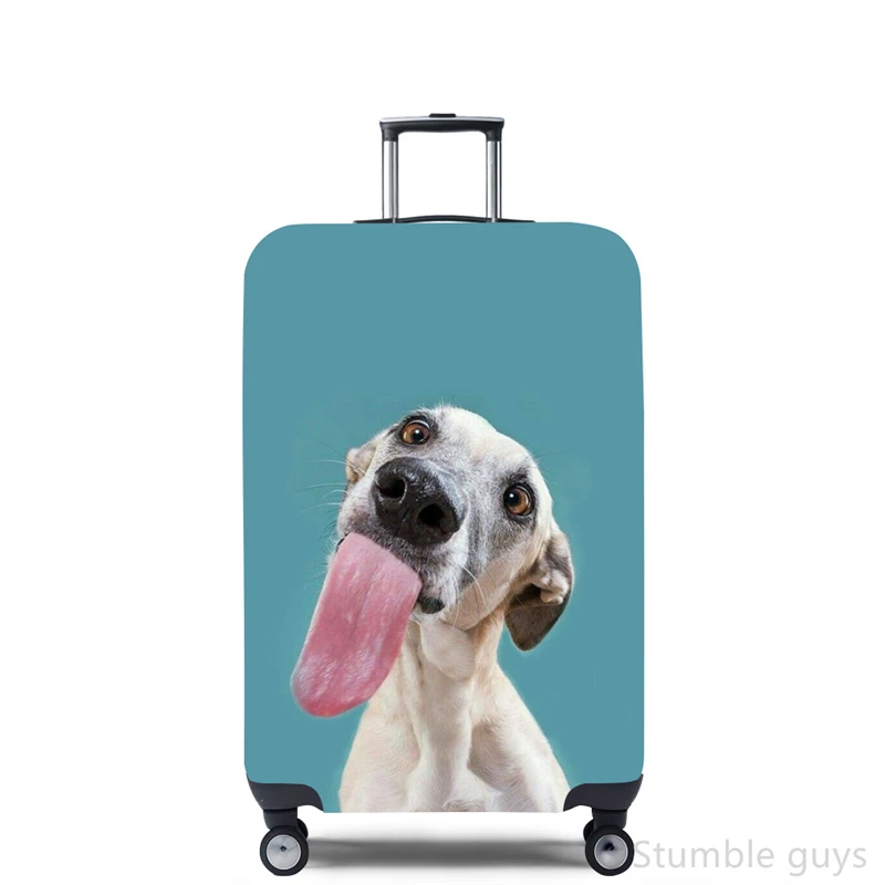 Stretchy Luggage Cover Protect - Travel Accessories Needed 评论和价格